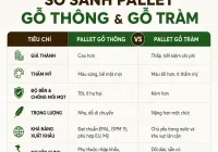 Pallet gỗ thông và gỗ tràm: Nên chọn loại nào?