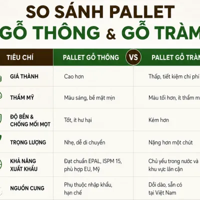 Pallet gỗ thông và gỗ tràm: Nên chọn loại nào?