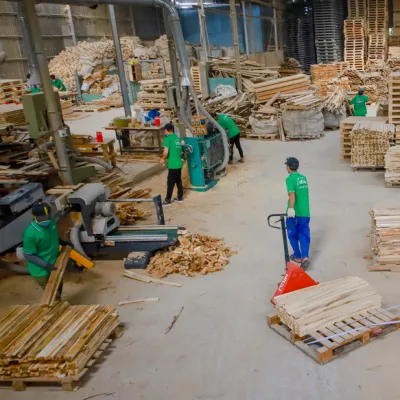 Hình Ảnh Thiên Minh BBG | Nhà Máy Sản Xuất Pallet Gỗ